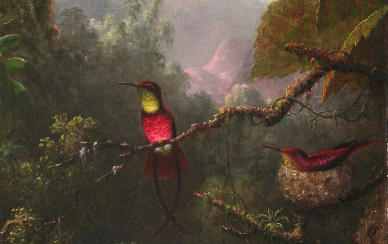 Painting of hummingbirds on a tree branch.