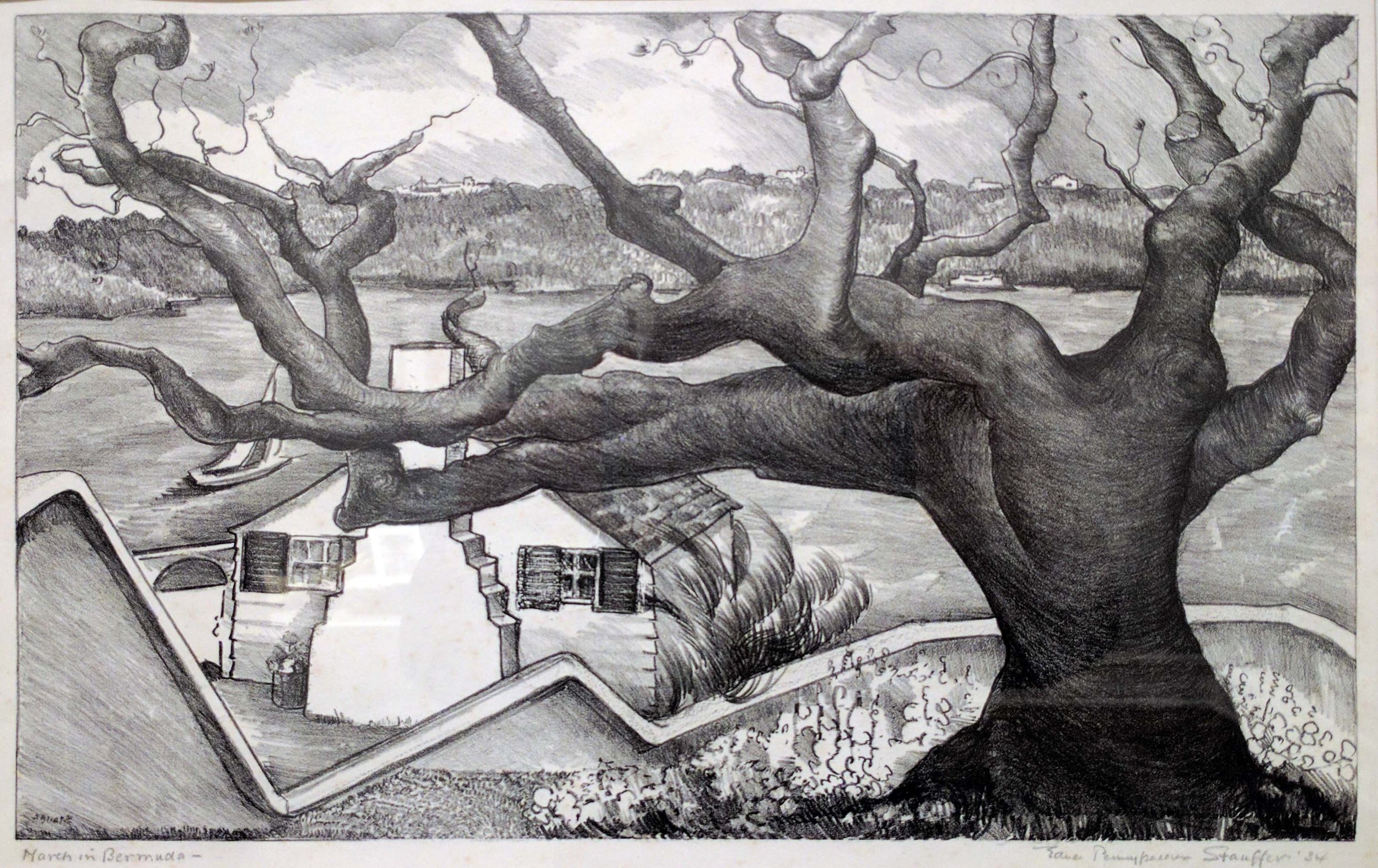 Drawing of a large tree with many branches. There is a house and field in the background.